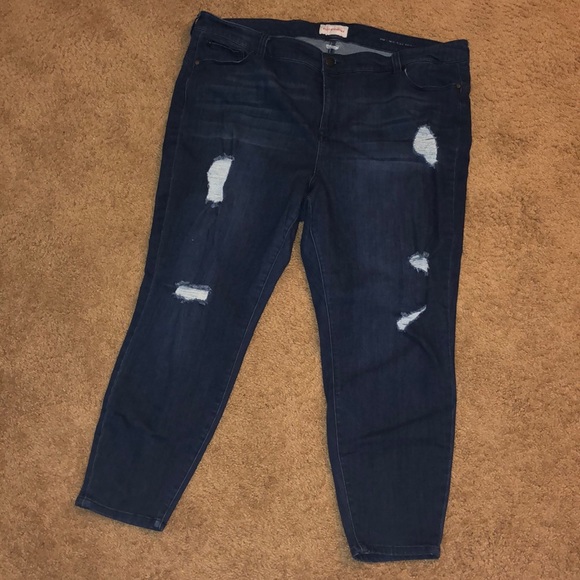 molly and isadora plus size jeans